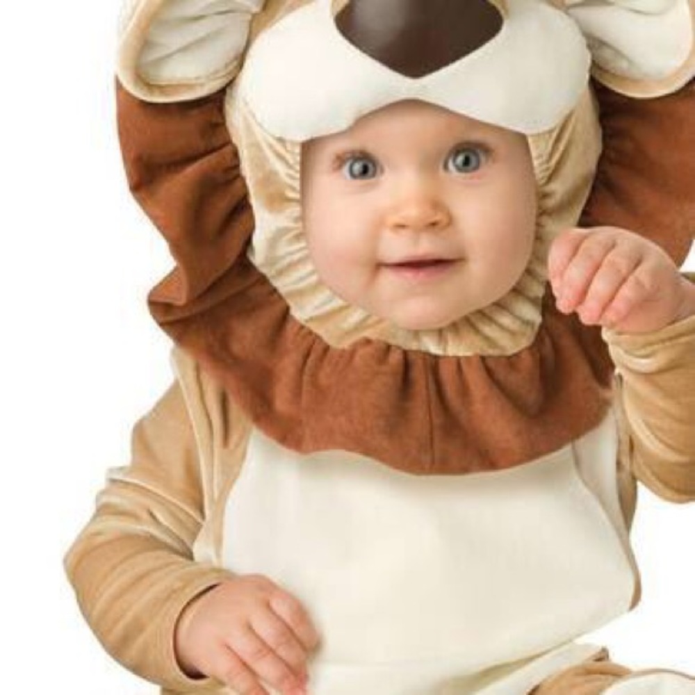 InCharacter Costumes Lion Cub Costume 6-12M